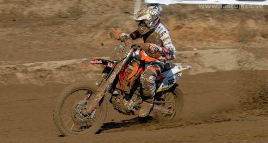 bild: tony cairoli