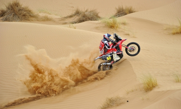 mzg13 stage6_rodrigues_edo4601
