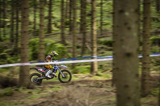 TSX 2393_1000px_Mikael_Persson_SM1